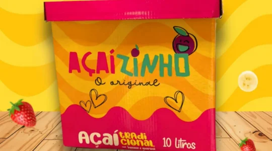 Caixa de Açaizinho 10L